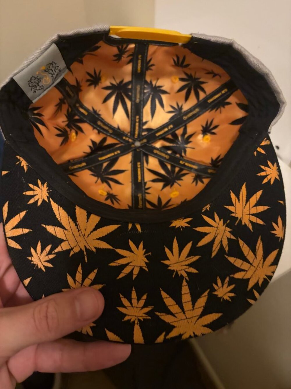 Grassroots California SF Blazemore Snapback